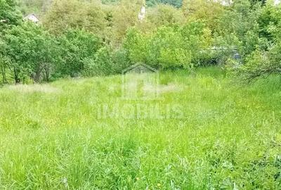 Teren de 994 mp, în Budiu Mic - 2