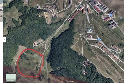 Teren Construcții intravilan de 5640 mp, în Florești
