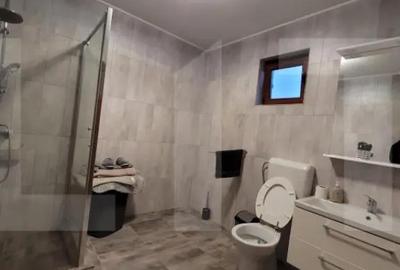 Casă cu 4 camere cu Teren 1475 Mp în Cărpiniș - 13