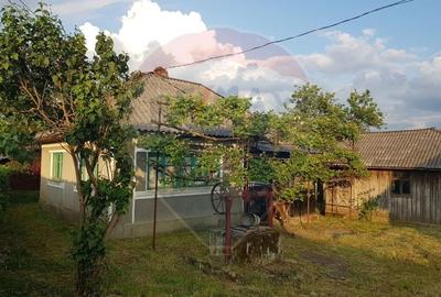 Casa / sura Trestia jud.MM, in suprafata de 116mp / 4000mp de teren - 2