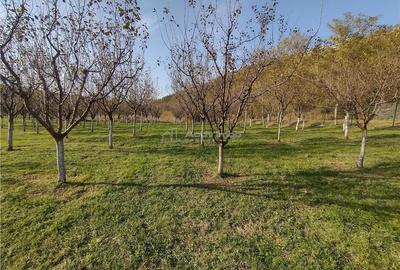 Teren de 1445 mp, în Slatina-Nera