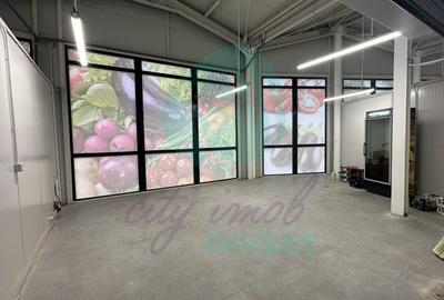 Spatii comerciale de inchiriat in PIATA DELFINULUI - 4