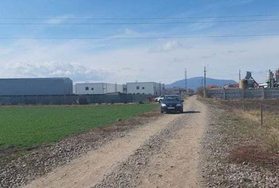 Teren constructii industriale, parc auto,dezmembrari, Stupuni Teren constructii industriale, parc auto,dezmembrari, Stupuni - 1