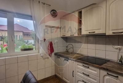 Vila impunatoare in Cartierul Functionarilor - 25