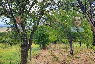 Teren generos 2186 mp cu casă bătrânească – Copăcești, județul Vrancea - 5