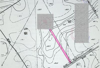 Teren de 7000 mp, în Gruiu - 2