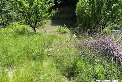 Casa de vacanta, cu lac, 5640 mp teren, Huta, com. Chiuiesti, jud. Cluj - 28