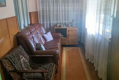 Casă cu Teren 4977 Mp în Ribița - 8