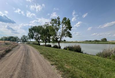 Teren Berceni La Lacuri | Oportunitate Investitie | Teren Berceni La Lacuri | Oportunitate Investitie | - 5