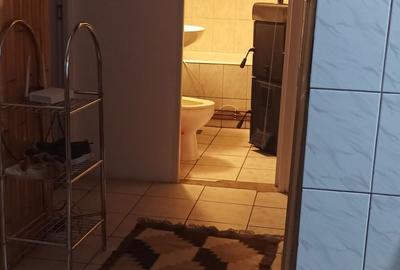 Apartament cu 2 camere decomandat în Ocna Șugatag - 1