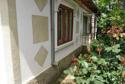 Casă cu 3 camere în Valea Cânepii - 5