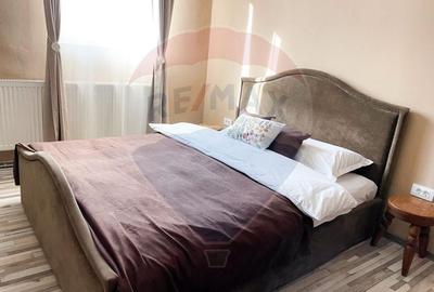 Apartament cu 2 camere de inchiriat str. Evreilor Deportati - 8