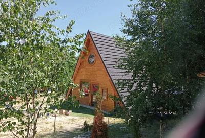Casă cu 2 camere cu Teren 5000 Mp în Brebu - 2