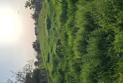 Teren de 955 mp, în Sânmihaiu German - 1