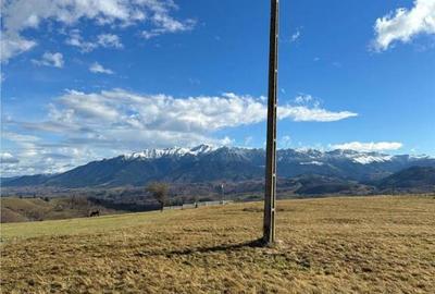 TEREN INTRAVILAN SIRNEA/ 4000 MP/ - 3