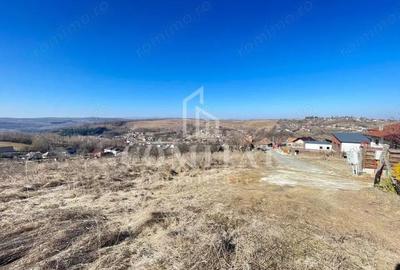 Teren cu potential de investitie 2430 mp si drum de acces - 1