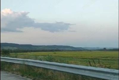 Teren de 500000 mp, în Borăscu - 2