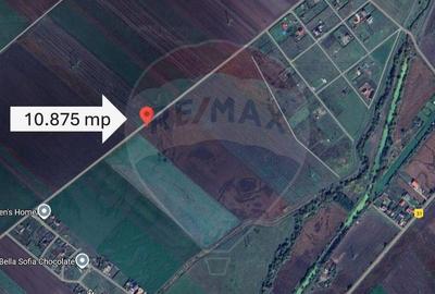 Teren 10.875 MP | Halchiu | Jud. Brasov - 3