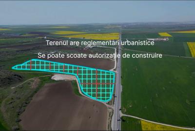 Teren 5000 mp Ovidiu - 5