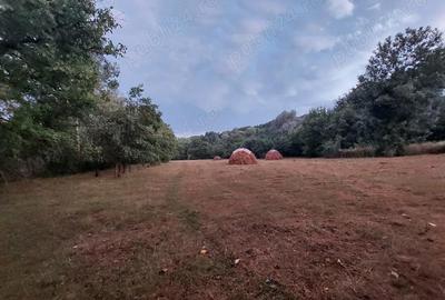 Teren de 2500 mp, în Drajna