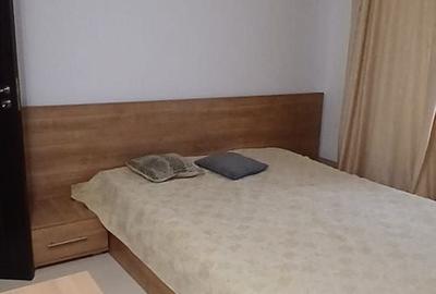 Apartament cu 2 camere decomandat, mobilat în Gorjului - 14