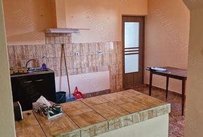 Casă cu 3 camere cu Teren 1540 Mp în Pâncota - 2