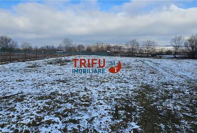 Spațiu comercial, în Micești - 2