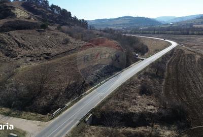 Teren de 2000 mp, în Moșna - 4