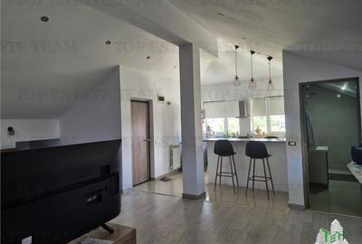 Casă individuală cu 6 camere cu Teren 3000 Mp în Palazu Mare - 2