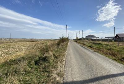 Teren agricol extravilan de 15000 mp, în Albota - 4