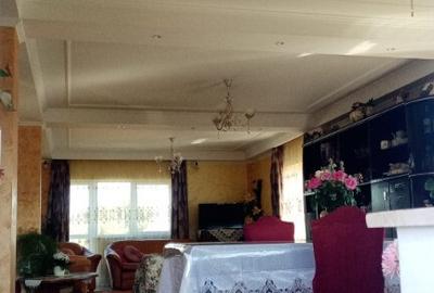 Vila in Rusii Manastioara - 1