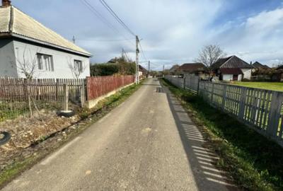 Teren de 20000 mp, în Bozânta Mare - 1