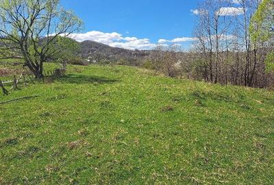 Teren de 3600 mp, în Central - 4