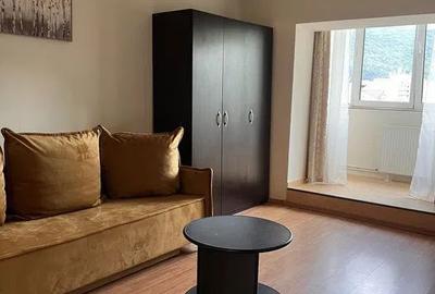 Garsonieră în Valea Cetății - 1