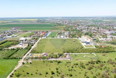 Teren agricol intravilan de 10000 mp, în Domnești - 8