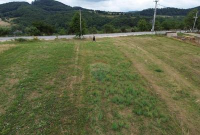 Teren 800mp Coas / Strada Principala - 4