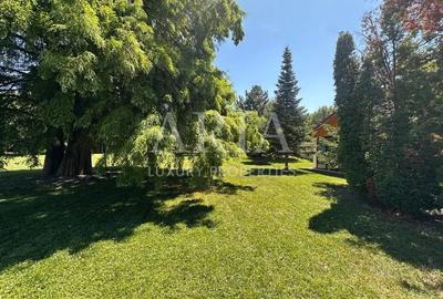 VILĂ INDIVIDUALA LAKEFRONT SNAGOV | POOL - 21