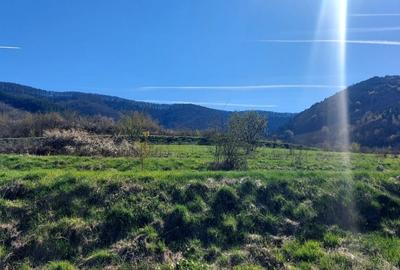 Teren 1500mp extravilan spre vanzare  Poplaca - 2