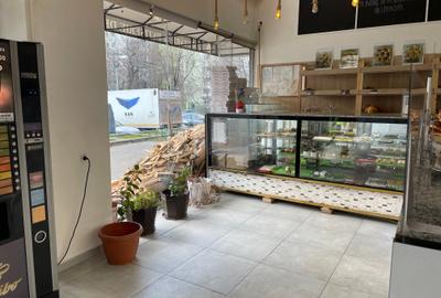 Pantelimon,Chisinau,Piata Delfinului,250 mp,toate utilitatile, - 4