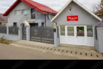 Vand urgent vila - 8