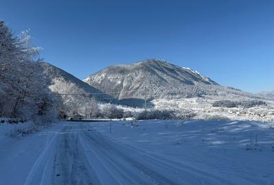 Teren intravilan 500 sau 1000 mp Bran-Tohanita la dum asfaltat - 27