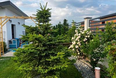 Teren anexa + livada, toate utilitățile - 11