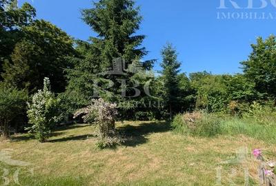 Teren pentru constructie casa in Faget - 7