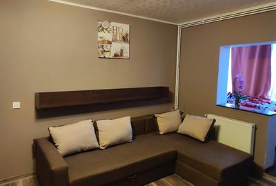 Apartament cu 2 camere semidecomandat, mobilat în Șagului - 7