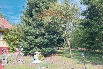 OCAZIE!!! CASA SUPERBA cu teren in JULITA jud Arad in M tii Zarandului - 45