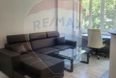 Apartament PREMIUM  2 camere de inchiriat in Zona Lacului - 4
