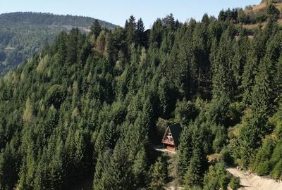 Casă cu 3 camere în Horea - 3