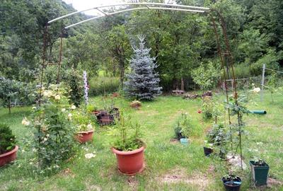 Gospodarie la cheie in zona rurala si linistita. - 5