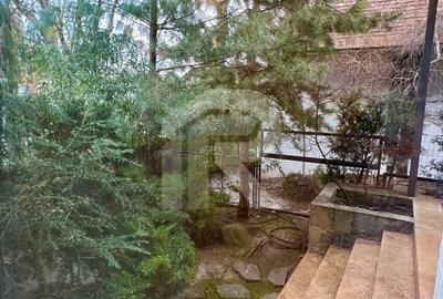 Stunning Villa_First rental after reno Stunning Villa_First rental after reno - 3