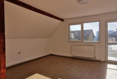 Dobroesti 5 Camere Vila La Curte - 16